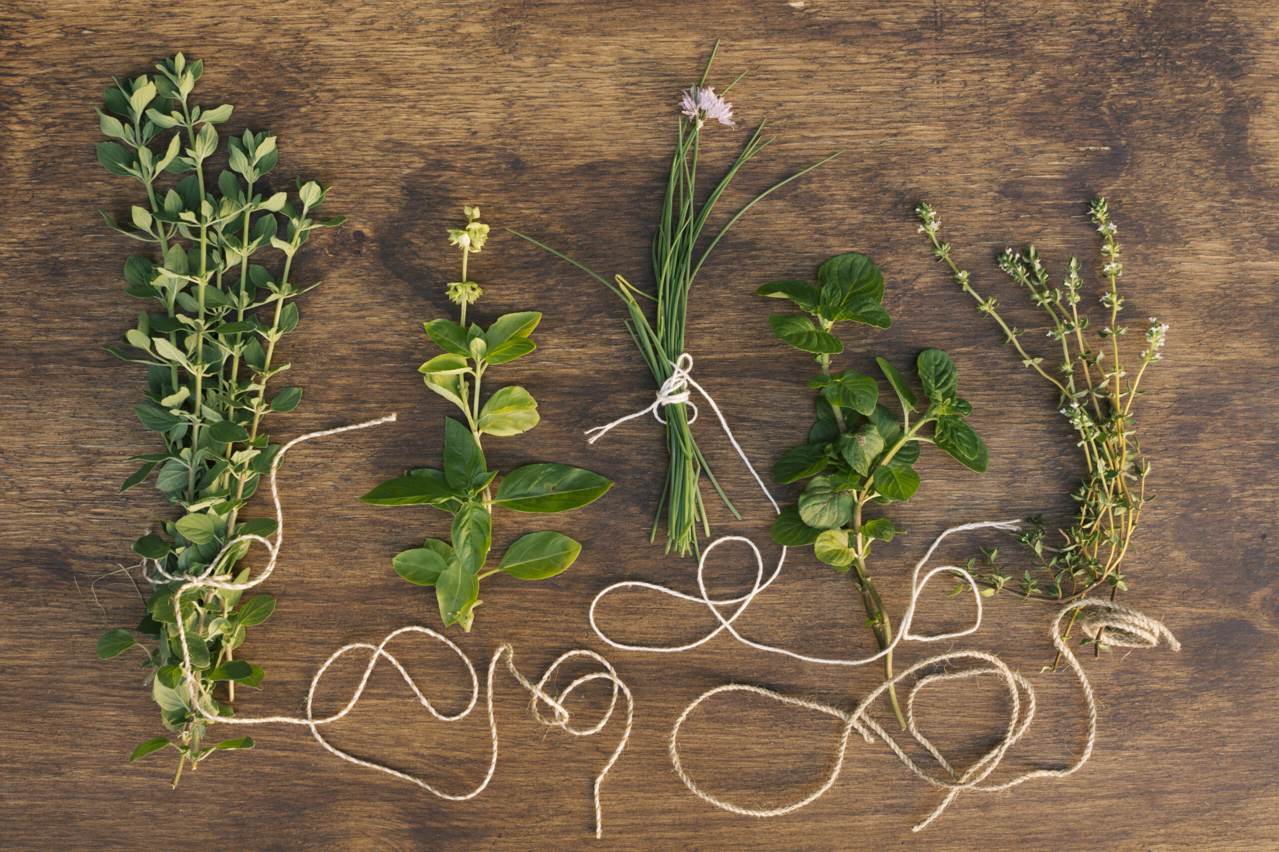 Plantes sélectionnées